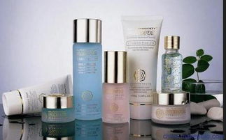 上海伯斯卡國(guó)際貨物運(yùn)輸代理公司 一站式進(jìn)口化妝品、食品與家具清關(guān)服務(wù)